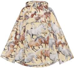 Hollis Jackets & Coats